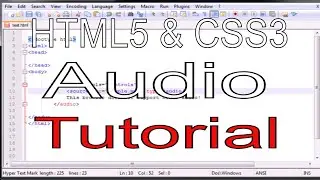 HTML5 and CSS3 PART 21 Audio || html5 and css3 audio tutorial || html5 and css3 tutorial