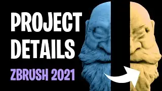 No Subdivision Levels? No Problem... Project Details in Zbrush 2021