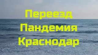 Переезд в Краснодар (2020). Поездки в пандемию.