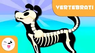 Gli animali vertebrati per bambini - Introduzione