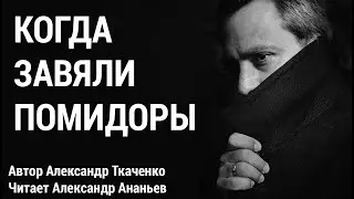 ИСПОВЕДЬ / ПОЧЕМУ МУЖЧИНЫ УХОДЯТ / КОГДА ЗАВЯЛИ ПОМИДОРЫ / АЛЕКСАНДР ТКАЧЕНКО / АЛЕКСАНДР АНАНЬЕВ /