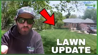 Get Your Lawn Ready For Summer! | Lawn Update