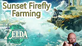 Zelda TOTK ● Farming Sunset Fireflies