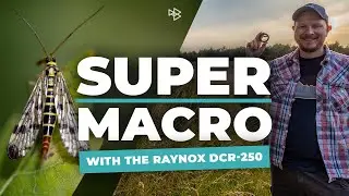 Super Macro Photography With the Raynox Dcr-250