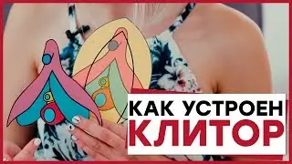 КАК УСТРОЕН КЛИТОР? – Все о женском оргазме! Алина Шикуть [Точка Любви]