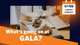 What’s Going on at Gala?