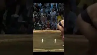 Тубизару vs Охо Нагоя 2024 #сумо #japan #wrestling #duel #sumo #mma #sport #ufc #wwe