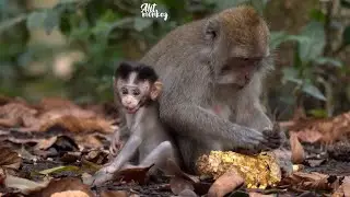 Mother and child share food 