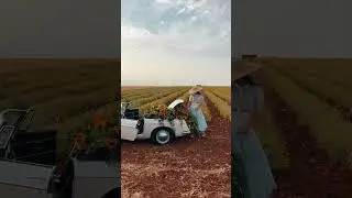 Подсолнух есть, теперь бежим за кукурузой 😂🌻