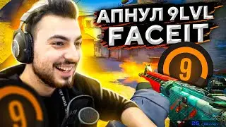 АПНУЛ 9LVL FACEIT (в рассрочку)