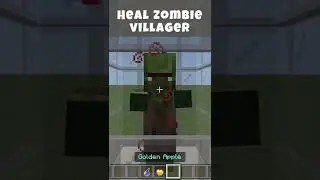 How to heal a zombie villager