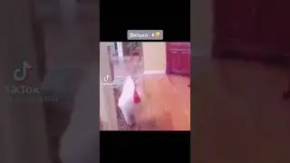Витя друг 