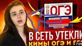 Я посмотрел все видео на канале Polina Vas! + бонус (|\/|еньше монтажа) 0,.,0