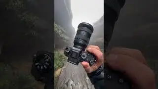 My new favorite lens 