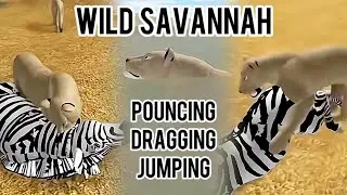 OLD POUNCING MECHANICS AND MAP! | Wild Savannah Roblox