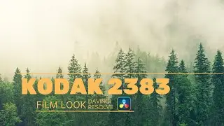 Kodak 2383 Luts Davinci Resolve