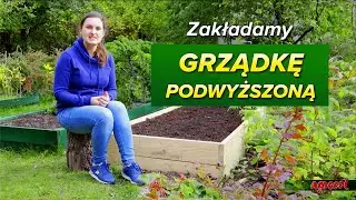 Zakładanie grządki podwyższonej – 8 kroków