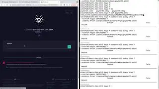 How to create test wallets using cardano-cli