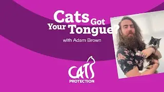 Cats Got Your Tongue? 🐱🎙️ S2 podcast trailer