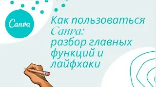 Как пользоваться Canva Разбор главных функций и лайфхаки