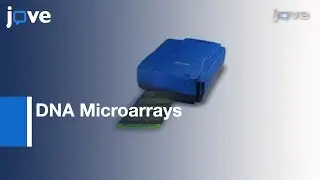 DNA Microarrays: Sample Quality Control, Array Hybridization & Scanning l Protocol Preview