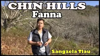 CHIN HILLS FANNA 