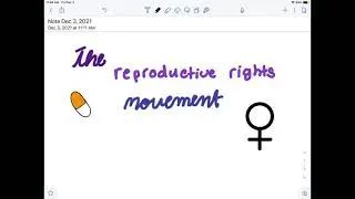 Social Movement Project- The Reproductive Rights Movement