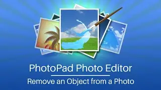 How to Remove Objects from Photos | PhotoPad Photo Editing Tutorial