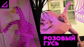 AContrari – РОЗОВЫЙ ГУСЬ