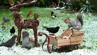 Cat TV ❄️ Snowy Day for BIrds & Squirrel's Sleigh Visit ❄️ Squirrel for cats to watch 4K HDR