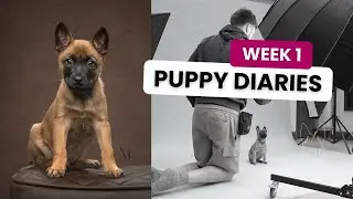 Meet Ren & see what we're up to in her Week 1 Puppy Vlog