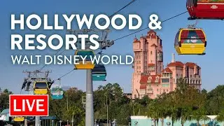 🔴 LIVE: Disney's Hollywood Studios & Resorts | Walt Disney World Live Stream