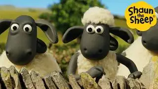 Shaun the Sheep 🐑 Panic at the farm - Cartoons for Kids 🐑 Full Episodes Compilation [1 hour]