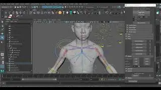 Maya Advanced Skeleton& Unreal Engine MetaHuman-4