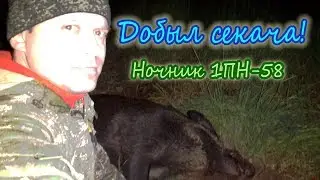 Добыл кабана секача на поле. Ночной прицел 1ПН-58. Карабин Вепрь 129  7.62 54R