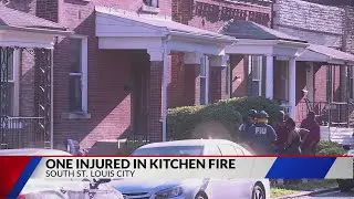 One injured in Tower Grove South house fire