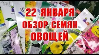 22 января.  Обзор семян овощей на 2023 г