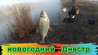 открытие сезона 2021 на Днестре / новогодняя рыбалка
