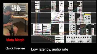 Meta Morph for VCV Rack