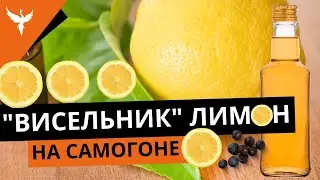 рДЖ 29. Висельник лимон. На самогоне или на спирту? Как лучше? Сколько настаивать? Сколько раз?