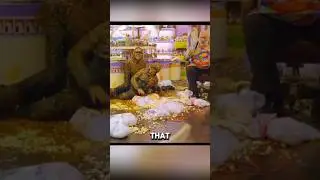 Dogs Use Candy To Trap Robbers🤯😱#shorts #movie #viralvideo