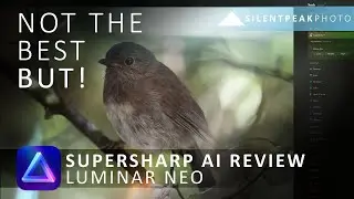 Luminar Neo SuperSharp AI Review - Better than Topaz Sharpen AI?