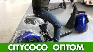 Купить в Китае электросамокаты Сити Коко оптом с фабрики Citycoco электроскутер