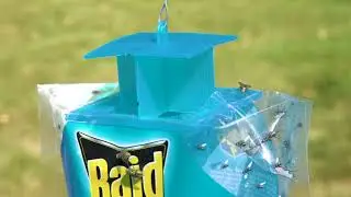 Fly-Free Zone: Raid Disposable Fly Trap Demo - Your Trusted Pest Solution