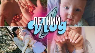 ЛЕТНИЙ ВЛОГ:  в деревне с родными, ищем ягоды 🍓 покупка растений с Авито / Распродаю вещи сына 😭