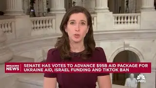 Senate has enough votes to pass $95 billion aid package, including TikTok ban