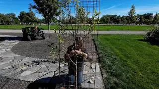 Planting an Apple Arbor & Tagging the Roses I Want to Keep from the Rose Garden! 🍎🥰🙌