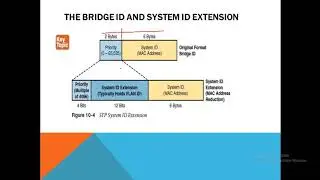 10-STP/RSTP/PVST+/RPVST+/MSTP