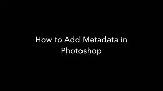Photoshop Basics: How to in add metadata information
