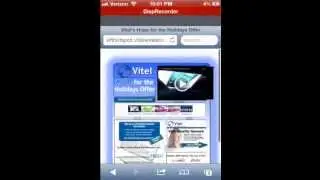 Vitel Wireless 365FreedomClub Auto Build & Lead Calling System